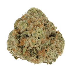 Cannamedical Sativa classic AU Tangie Chem